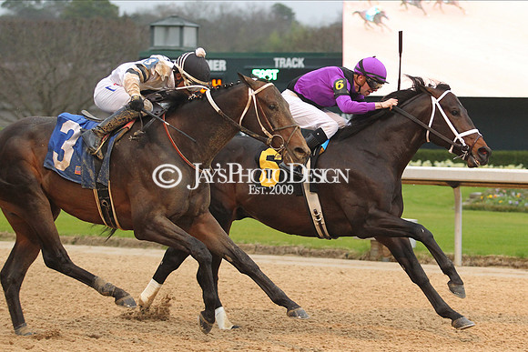 z200217_SouthwestStakesDay_Manning_3534