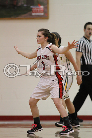 Tri-Lakes All Star Baketball Game 3-17-2015 (©Justin Manning) JWM_0037
