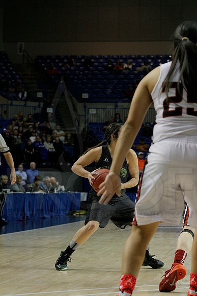 1A Girls State Finals-Nemo Vista vs. Wonderview 3-14-2014 (© Justin Manning) JWM_0009