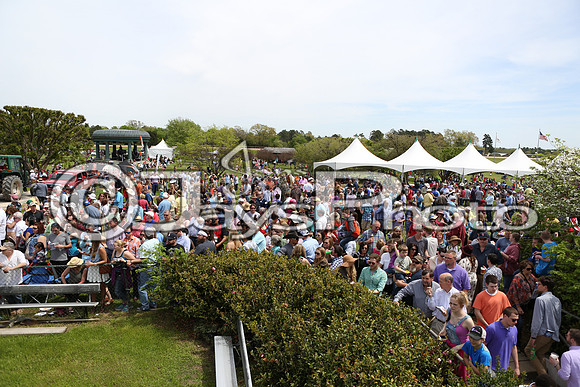 Arkansas Derby Day 4-11-2015 (©Justin Manning) JWM_0430