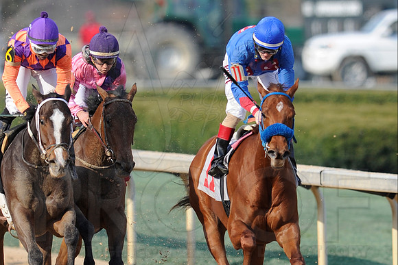 Honeybee Stakes (Grade III) 3-8-2014 (© Justin Manning) JWM_1421