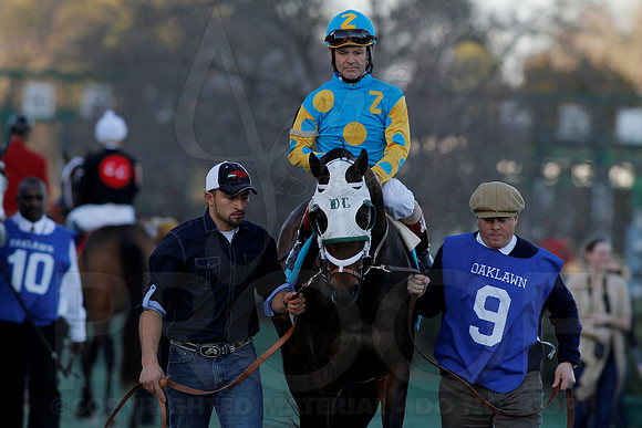 Smarty Jones Stakes 01-20-14 (©Justin Manning) JWM_0297