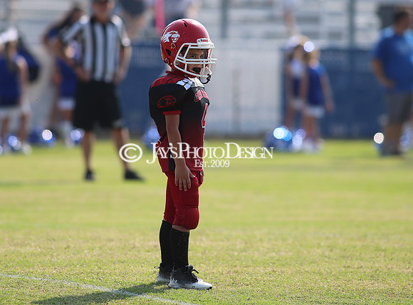 3rd Grade Peewee Football (Glen Rose @ Bismarck) 8-24-24_JWM_0224