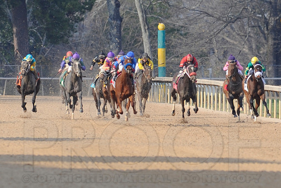 Honeybee Stakes (Grade III) 3-8-2014 (© Justin Manning) JWM_1388