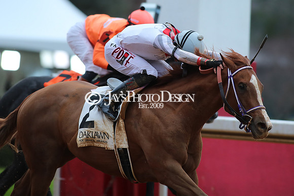 z250104_MockingbirdStakes _JWM_0604