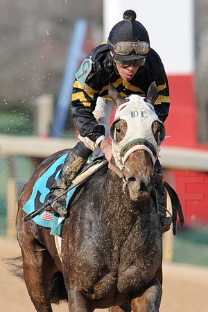Honeybee Stakes (Grade III) 3-8-2014 (© Justin Manning) JWM_1446