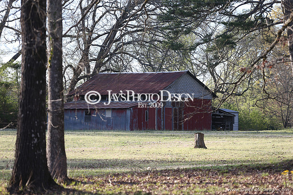 Barns 3-25-20_0014