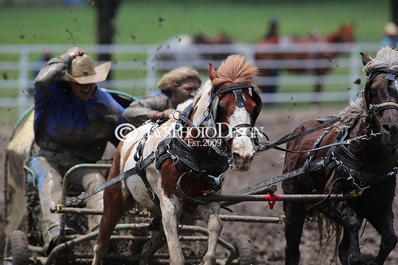 Whiskey Ridge Ranch (Chuckwagon Races) 5-26-24_JWM_0371