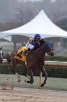 Oaklawn (Rebel Stakes Day) 3-14-2015 (©Justin Manning) JWM_052