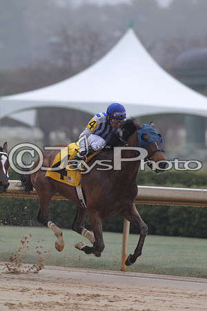 Oaklawn (Rebel Stakes Day) 3-14-2015 (©Justin Manning) JWM_052
