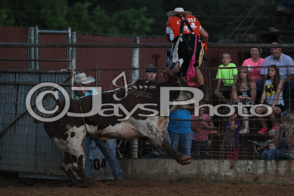 Bull Bash (Brickfest) 6-27-2015 (©Justin Manning) JWM_0611