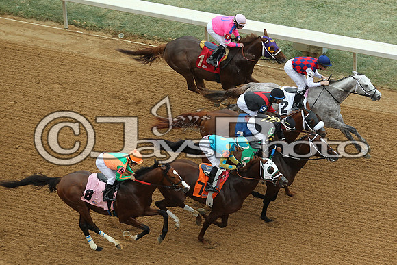 Southwest Stakes (GradeIII) 2-20-17_JWM00061