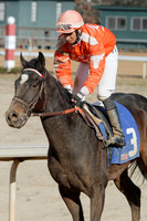 Oaklawn Park (Scenery) 1-26-14 (©Justin Manning) JWM_0050
