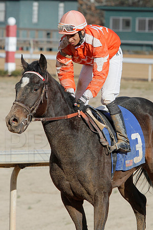 Oaklawn Park (Scenery) 1-26-14 (©Justin Manning) JWM_0050