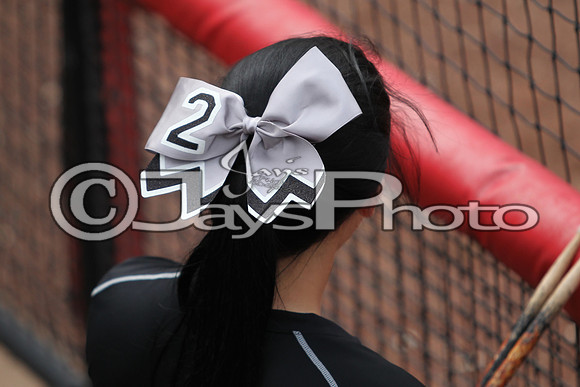 4A State Softball Finals Bauxite vs. Mena 5-22-2015 (©Justin Manning) JWM_0637