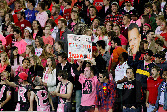 Louisiana Lafayette @ Arkansas State 10-22-13 (© Justin Manning) JWM0163