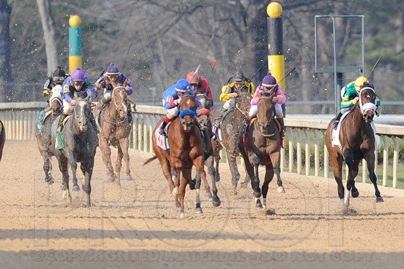 Honeybee Stakes (Grade III) 3-8-2014 (© Justin Manning) JWM_1395