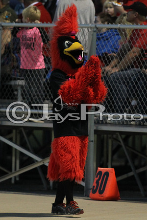 Bismarck @ Harmony Grove 10-2-2015 (©Justin Manning) JWM_0234