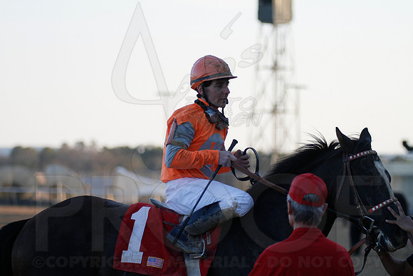Oaklawn 1-21-13 (Smarty Jones Stakes) (Justin Manning)0228