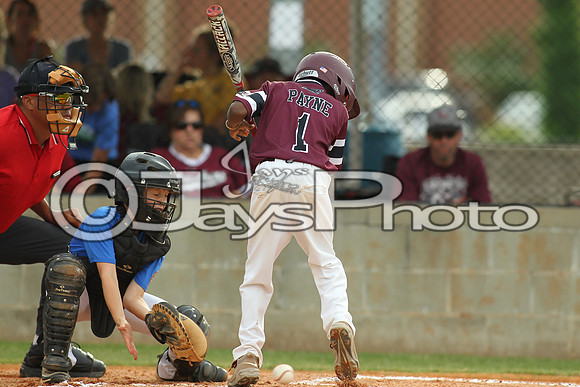 Benton vs. Clark County 6-27-16_JWM_0026