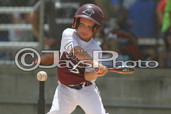 Benton vs. Picayune MS Cal Ripken t-ball All-Stars 7-12-2015 (©Justin Manning) JWM_0086