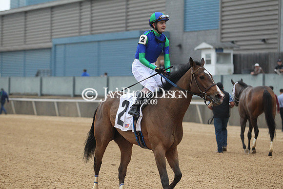 z200217_SouthwestStakesDay_Manning_0541