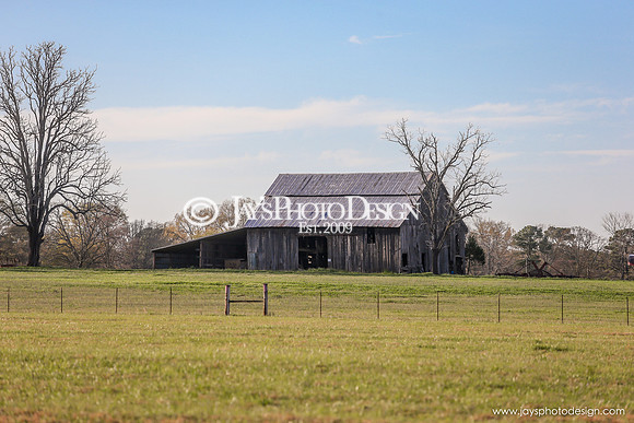 Barns 3-25-20_0028