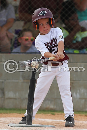 Benton vs. Hamburg 6 year old All Stars 6-29-2015 (©Justin Manning) JWM_0075