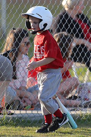 White Sox vs Angels 4-22-13 (©Justin Manning) JWM0150