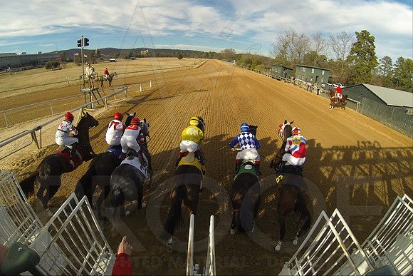 Oaklawn Park (Scenery) 1-26-14 (©Justin Manning) JWM_0418