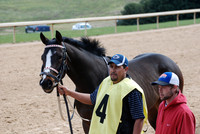 Oaklawn Park 3-3-13 JWM0014 (© Angela Greb)