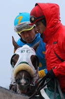 50th Running Southwest Stakes (Grade III) 2-22-2015 (©Justin Manning) JWM_104