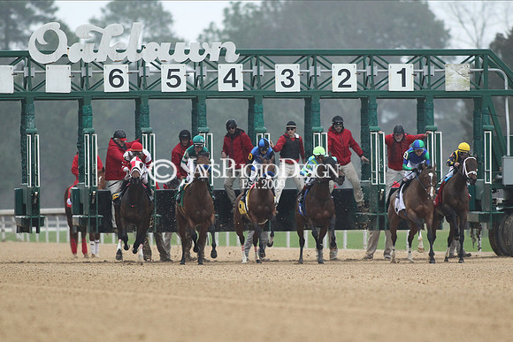 z200217_SouthwestStakesDay_Manning_0493