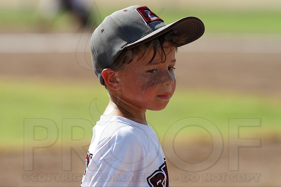 Benton vs. Camden 5-6 year old All Stars 7-11-2014 (©Justin Manning) JWM_019