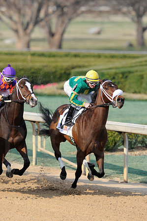 Honeybee Stakes (Grade III) 3-8-2014 (© Justin Manning) JWM_1363