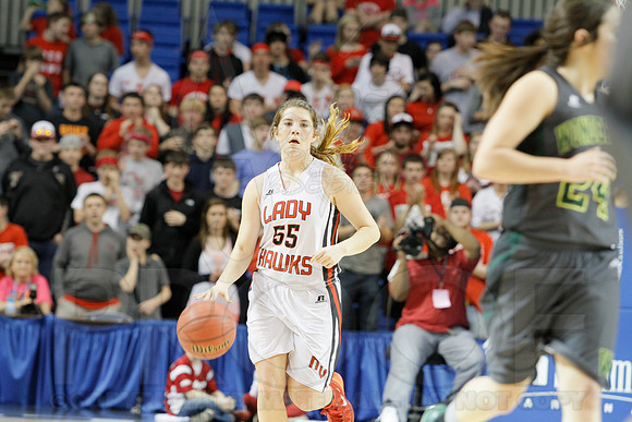 1A Girls State Finals-Nemo Vista vs. Wonderview 3-14-2014 (© Justin Manning) JWM_0136