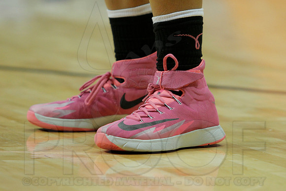 Arkansas State @ UALR Women's Basketball 3-1-2014 (© Justin Manning) JWM_0527