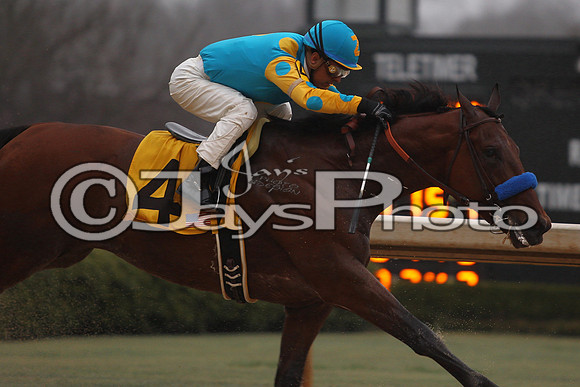 Oaklawn (Rebel Stakes Day) 3-14-2015 (©Justin Manning) JWM_364