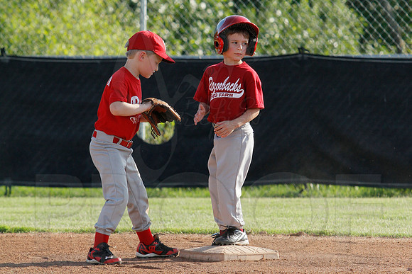 Phillies vs. Razorbacks 5-6 year old baseball 6-3-2014 (© Justin Manning) JWM_0008