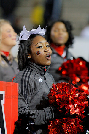 GoDaddy Bowl 1-5-14 (©Justin Manning) JWM_1404