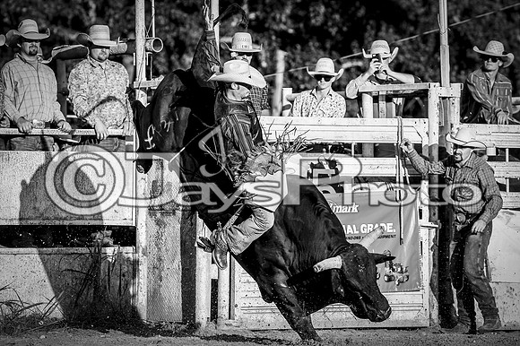 Bull Bash (Brickfest) 6-27-2015 (©Justin Manning) JWM_0119-2