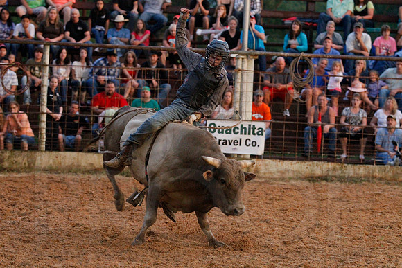 Bull Bash (Brickfest) 6-28-2014 (©Justin Manning) JWM_509