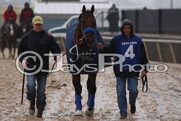 Oaklawn (Rebel Stakes Day) 3-14-2015 (©Justin Manning) JWM_129