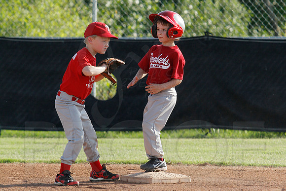 Phillies vs. Razorbacks 5-6 year old baseball 6-3-2014 (© Justin Manning) JWM_0007