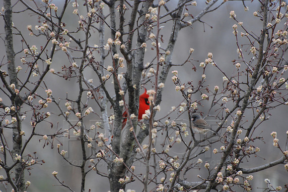 DSC_0125.JPG