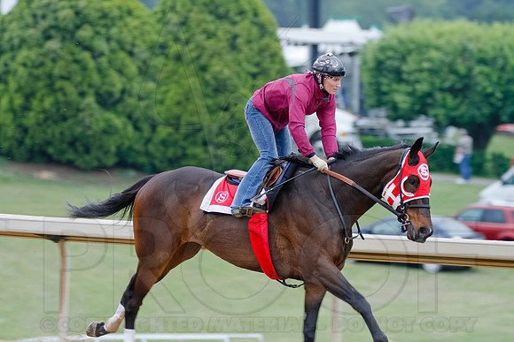Morning Workouts (Arkansas Derby)7
