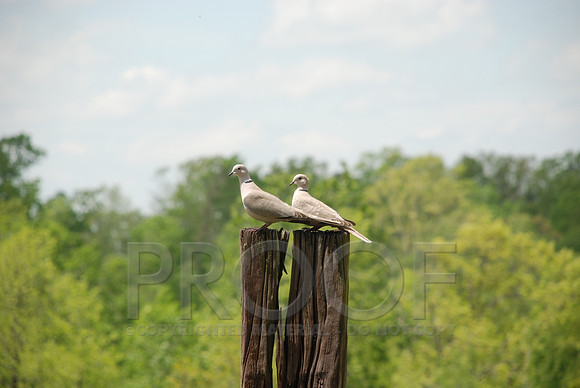 DSC_0027.JPG