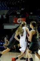 1A Girls State Finals-Nemo Vista vs. Wonderview 3-14-2014 (© Justin Manning) JWM_0010