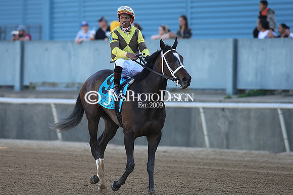 z220402_ArkansasDerbyday_Manning_JWM_1580