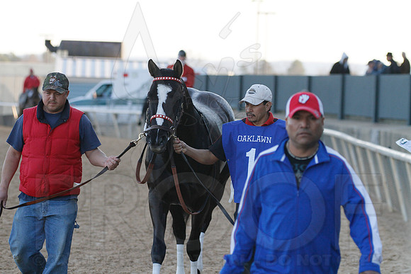 Oaklawn 1-21-13 (Smarty Jones Stakes) (Justin Manning)0074